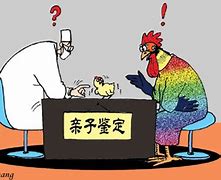 親子鑒定