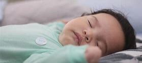 上戶口親子鑒定