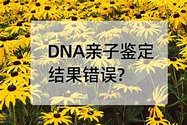 匿名親子鑒定準(zhǔn)確嗎